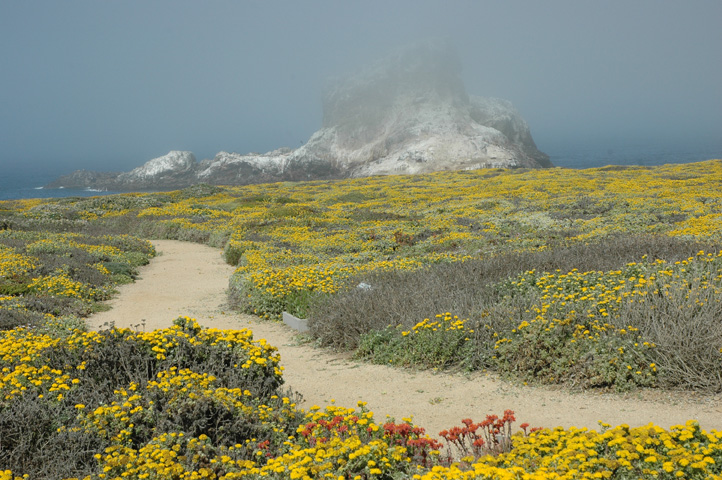 Piedras Blancos Lighthouse 021.jpg
